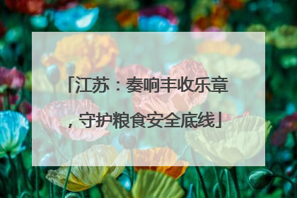 江苏：奏响丰收乐章，守护粮食安全底线