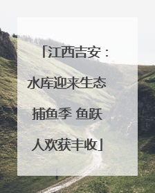 江西吉安：水库迎来生态捕鱼季 鱼跃人欢获丰收