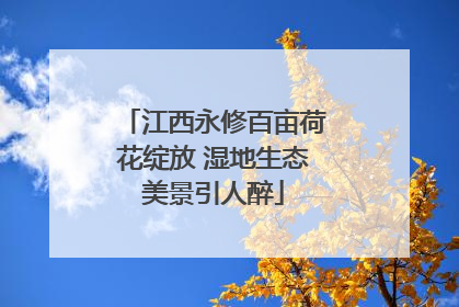 江西永修百亩荷花绽放 湿地生态美景引人醉