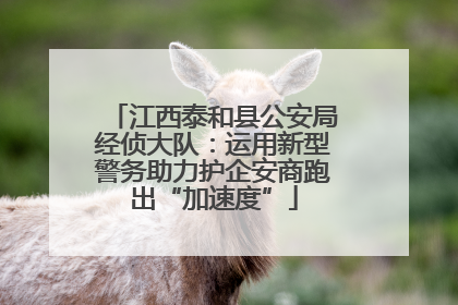 江西泰和县公安局经侦大队：运用新型警务助力护企安商跑出“加速度”