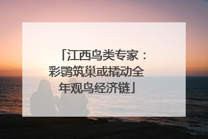 江西鸟类专家：彩鹮筑巢或撬动全年观鸟经济链