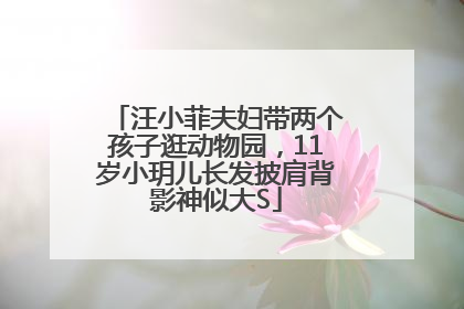 汪小菲夫妇带两个孩子逛动物园，11岁小玥儿长发披肩背影神似大S