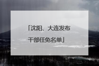 沈阳、大连发布干部任免名单