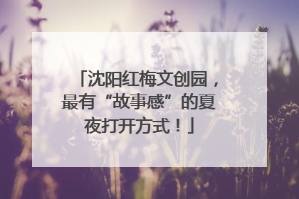 沈阳红梅文创园，最有“故事感”的夏夜打开方式！