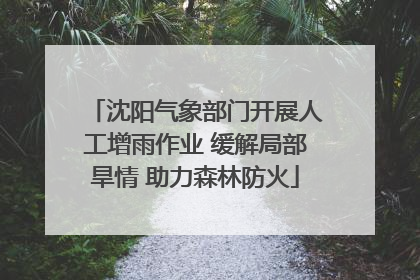 沈阳气象部门开展人工增雨作业 缓解局部旱情 助力森林防火