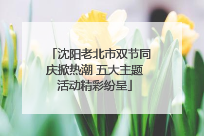 沈阳老北市双节同庆掀热潮 五大主题活动精彩纷呈
