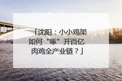沈阳：小小鸡架如何“啄”开百亿肉鸡全产业链？