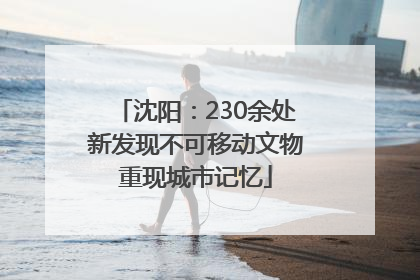 沈阳：230余处新发现不可移动文物重现城市记忆
