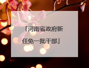 河南省政府新任免一批干部
