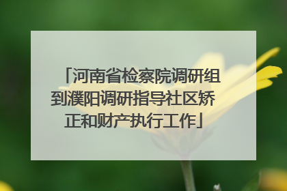 河南省检察院调研组到濮阳调研指导社区矫正和财产执行工作