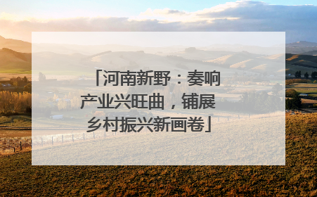 河南新野：奏响产业兴旺曲，铺展乡村振兴新画卷