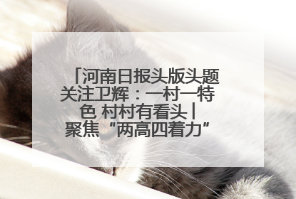 河南日报头版头题关注卫辉：一村一特色 村村有看头 ︳聚焦“两高四着力”·一“县”观察