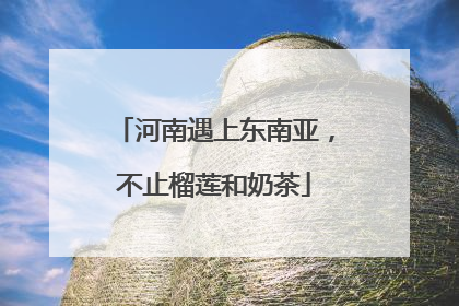 河南遇上东南亚，不止榴莲和奶茶