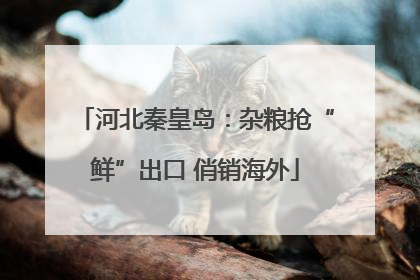 河北秦皇岛：杂粮抢“鲜”出口 俏销海外