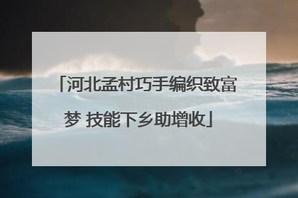 河北孟村巧手编织致富梦 技能下乡助增收