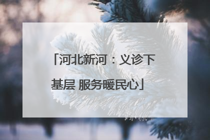 河北新河：义诊下基层 服务暖民心