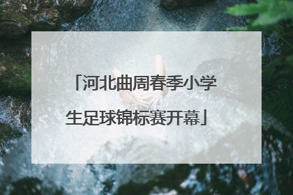 河北曲周春季小学生足球锦标赛开幕