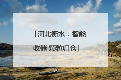 河北衡水：智能收储 颗粒归仓