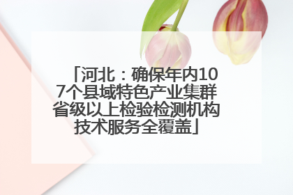 河北：确保年内107个县域特色产业集群省级以上检验检测机构技术服务全覆盖