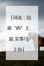 河北：民意“码”上说 实事马上办
