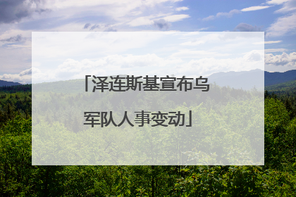 泽连斯基宣布乌军队人事变动