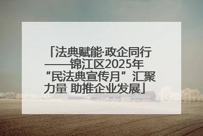法典赋能·政企同行——锦江区2025年“民法典宣传月”汇聚力量 助推企业发展