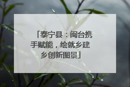 泰宁县：闽台携手赋能，绘就乡建乡创新图景