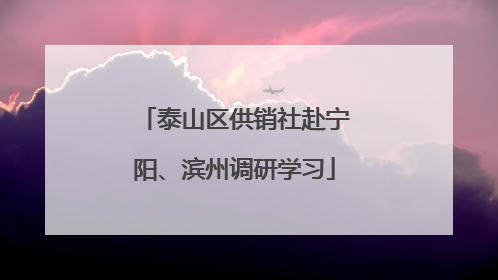 泰山区供销社赴宁阳、滨州调研学习