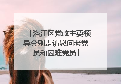 洛江区党政主要领导分别走访慰问老党员和困难党员