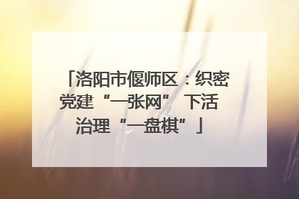 洛阳市偃师区：织密党建“一张网” 下活治理“一盘棋”