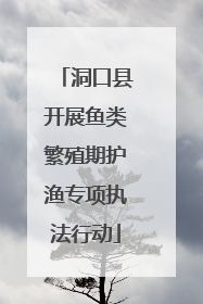 洞口县开展鱼类繁殖期护渔专项执法行动