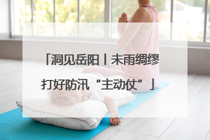 洞见岳阳丨未雨绸缪 打好防汛“主动仗”