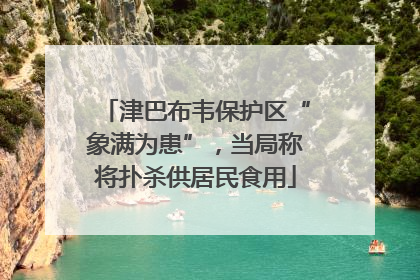 津巴布韦保护区“象满为患”，当局称将扑杀供居民食用