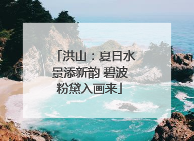 洪山：夏日水景添新韵 碧波粉黛入画来