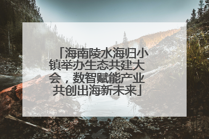 海南陵水海归小镇举办生态共建大会，数智赋能产业共创出海新未来