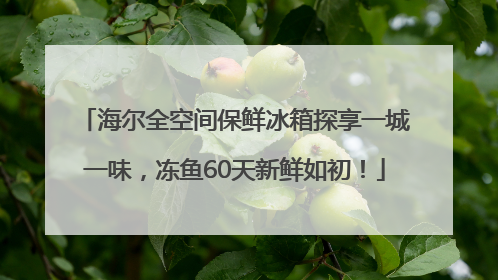 海尔全空间保鲜冰箱探享一城一味，冻鱼60天新鲜如初！