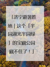 济宁避暑胜地｜这个「半园湖光半园绿」的宝藏公园藏不住了！