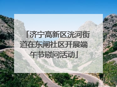 济宁高新区洸河街道在东闸社区开展端午节慰问活动