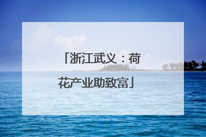 浙江武义：荷花产业助致富