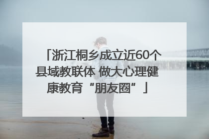 浙江桐乡成立近60个县域教联体 做大心理健康教育“朋友圈”