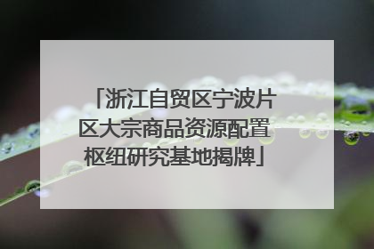 浙江自贸区宁波片区大宗商品资源配置枢纽研究基地揭牌
