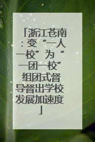 浙江苍南：变“一人一校”为“一团一校” 组团式督导督出学校发展加速度