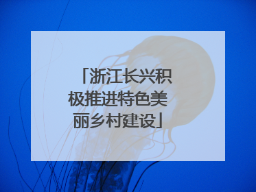 浙江长兴积极推进特色美丽乡村建设