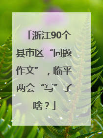 浙江90个县市区“同题作文”，临平两会“写”了啥？
