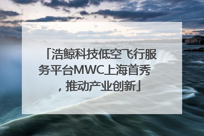 浩鲸科技低空飞行服务平台MWC上海首秀，推动产业创新