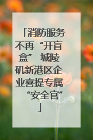 消防服务不再“开盲盒” 城陵矶新港区企业喜提专属“安全官”