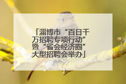 淄博市“百日千万招聘专项行动”暨“省会经济圈”大型招聘会举办