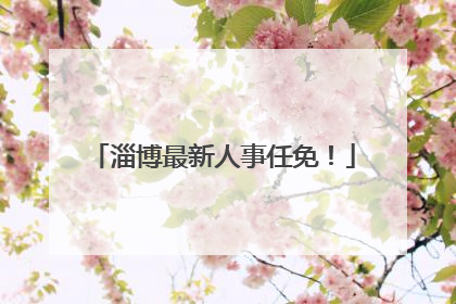 淄博最新人事任免！