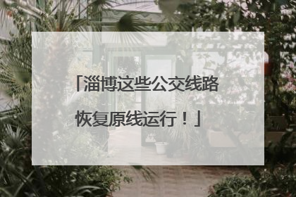 淄博这些公交线路恢复原线运行！