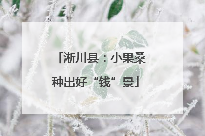 淅川县：小果桑种出好“钱”景